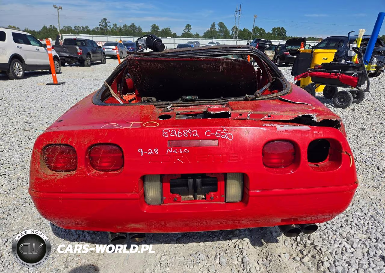 1991 Chevrolet Corvette VIN:1G1YY2388M5106710 - 6