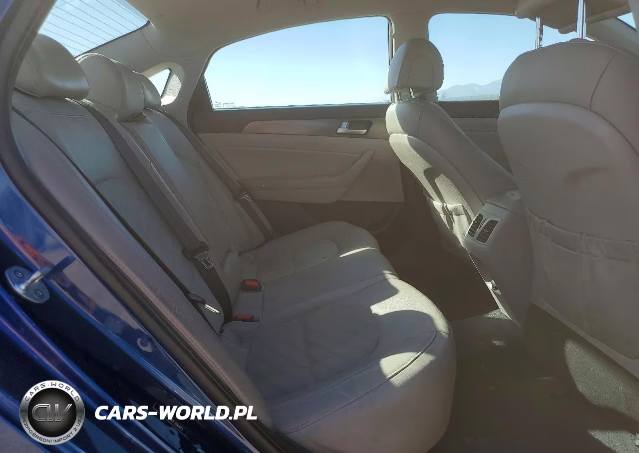 2016 Hyundai Sonata Sport VIN:5NPE34AF3GH390483 - 10