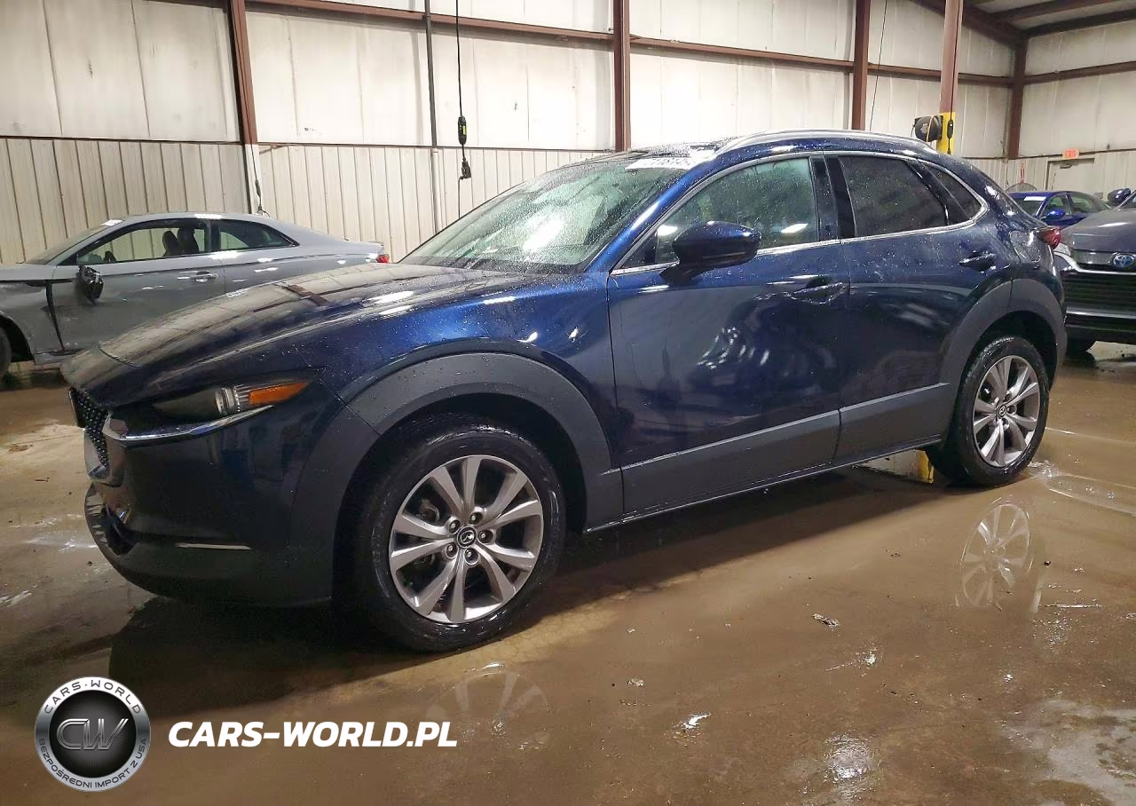 2020 Mazda Cx-30 Premium VIN:3MVDMBEM9LM105892 - 1