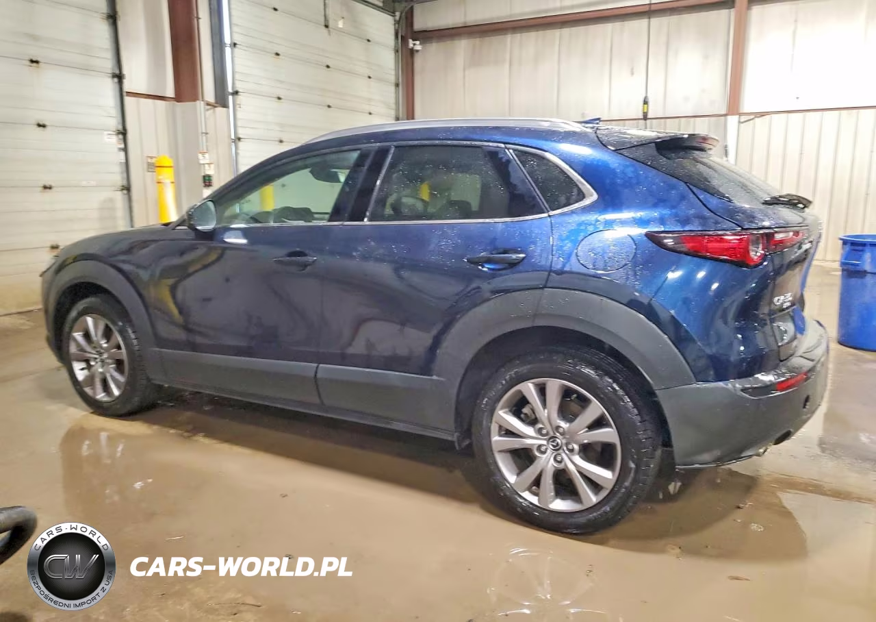 2020 Mazda Cx-30 Premium VIN:3MVDMBEM9LM105892 - 2