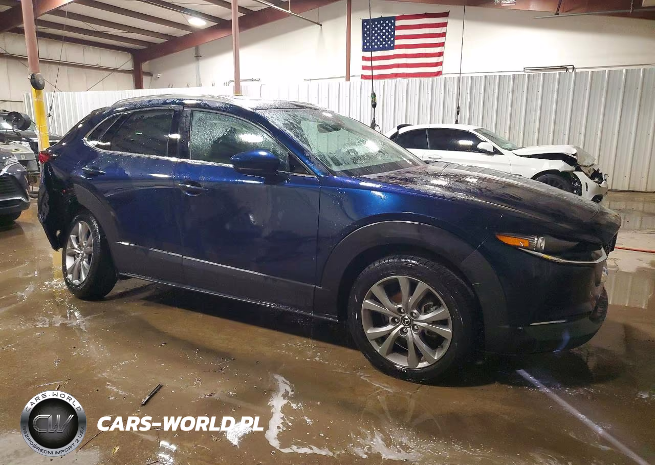 2020 Mazda Cx-30 Premium VIN:3MVDMBEM9LM105892 - 4