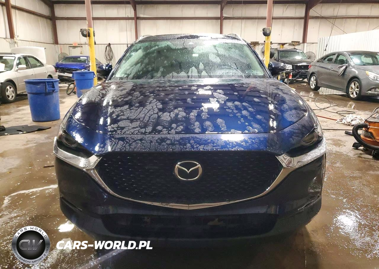 2020 Mazda Cx-30 Premium VIN:3MVDMBEM9LM105892 - 5