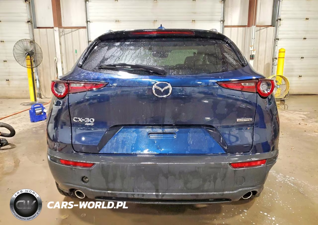 2020 Mazda Cx-30 Premium VIN:3MVDMBEM9LM105892 - 6