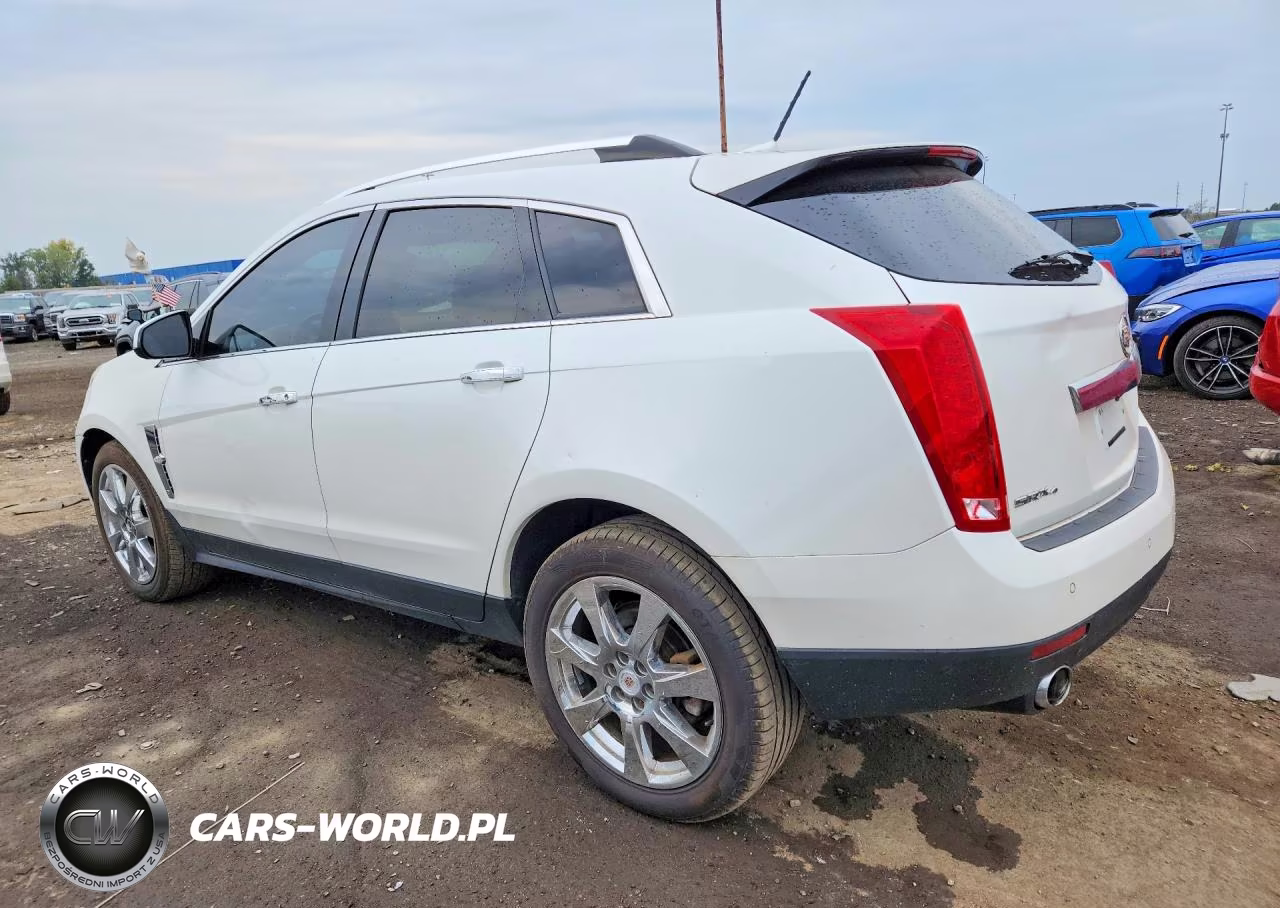 2011 Cadillac Srx Premium Collection VIN:3GYFNKE65BS569372 - 2