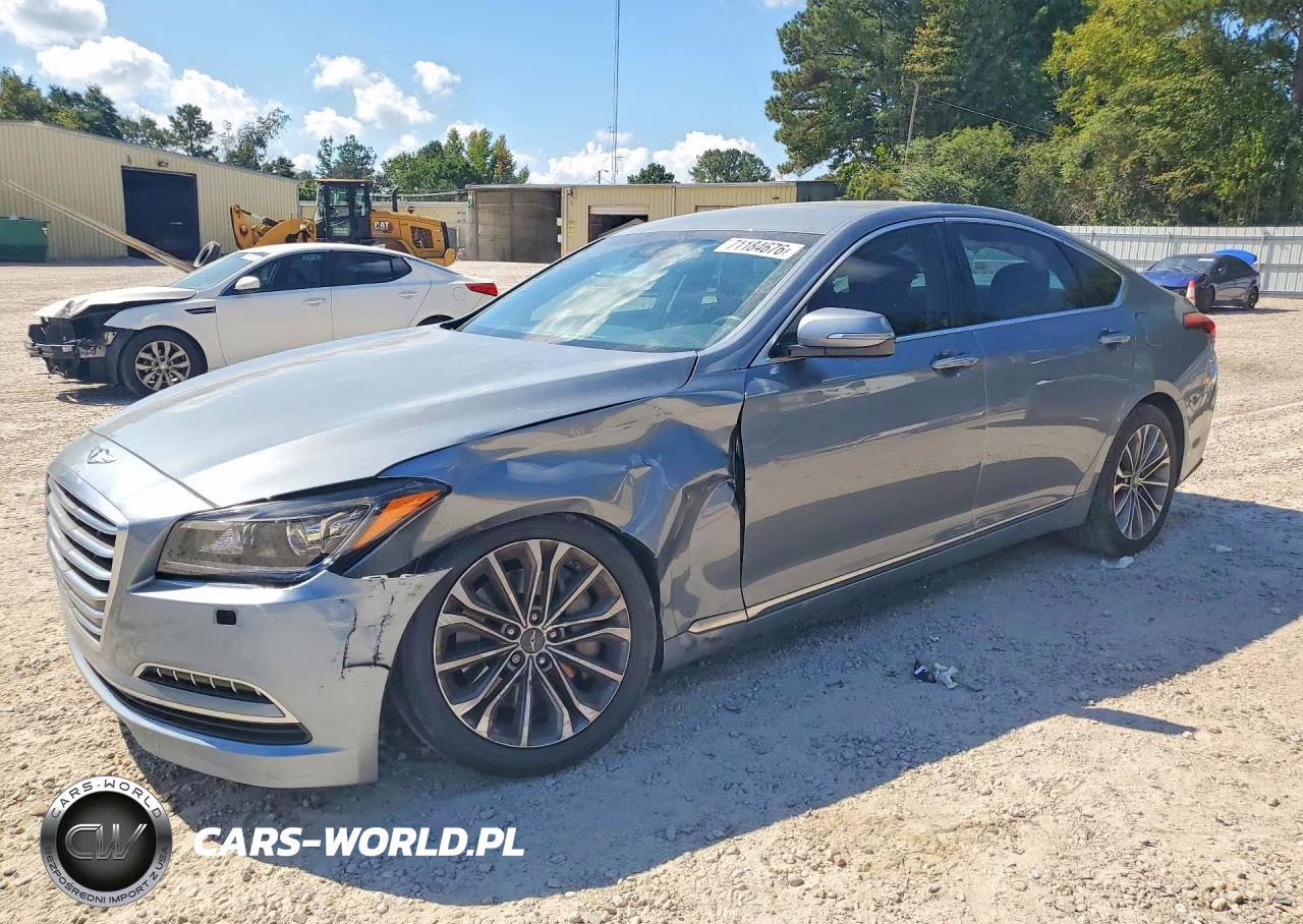 2016 Hyundai Genesis 3.8L VIN:KMHGN4JE9GU107662 - 1