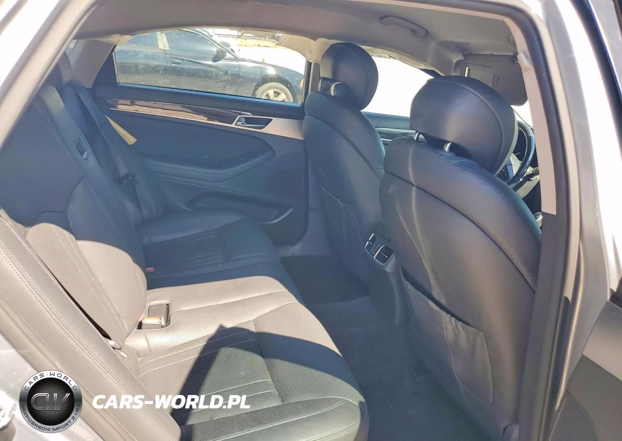 2016 Hyundai Genesis 3.8L VIN:KMHGN4JE9GU107662 - 10