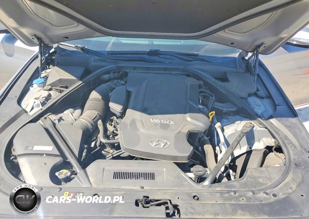 2016 Hyundai Genesis 3.8L VIN:KMHGN4JE9GU107662 - 11