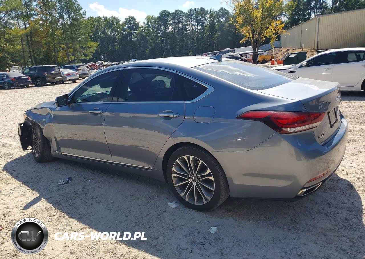 2016 Hyundai Genesis 3.8L VIN:KMHGN4JE9GU107662 - 2