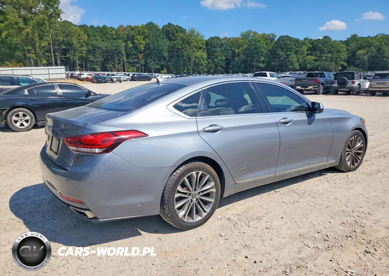 2016 Hyundai Genesis 3.8L VIN:KMHGN4JE9GU107662 - 3