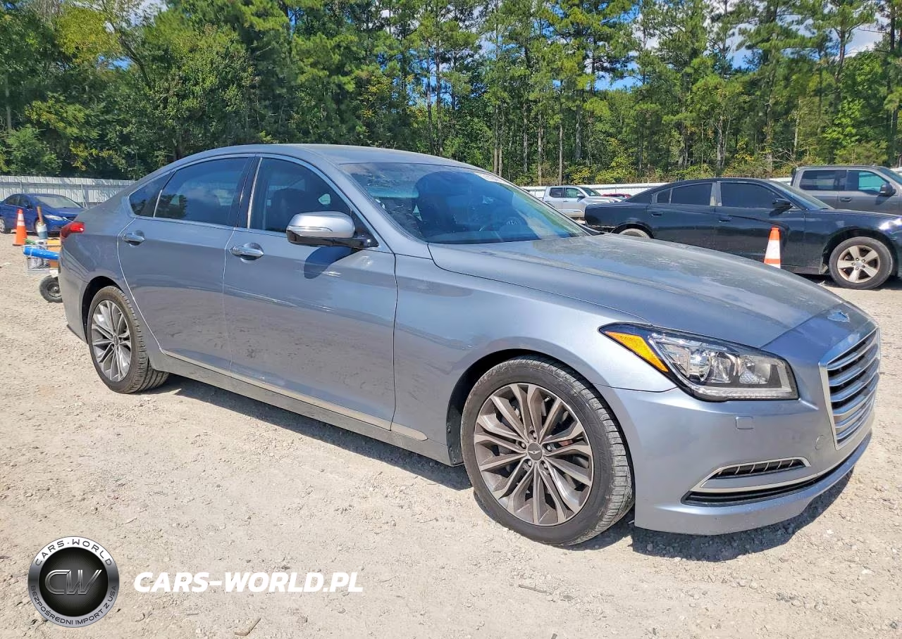 2016 Hyundai Genesis 3.8L VIN:KMHGN4JE9GU107662 - 4