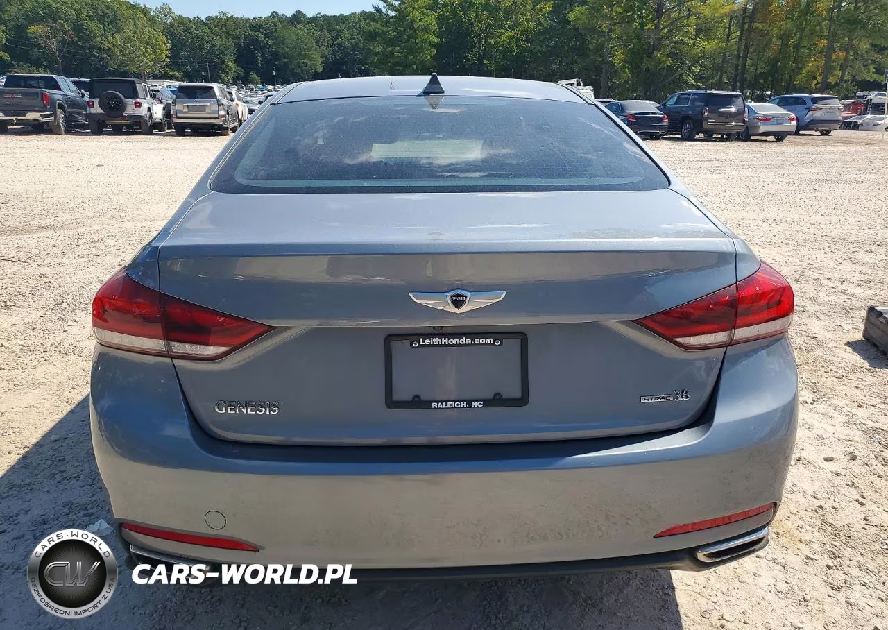 2016 Hyundai Genesis 3.8L VIN:KMHGN4JE9GU107662 - 6