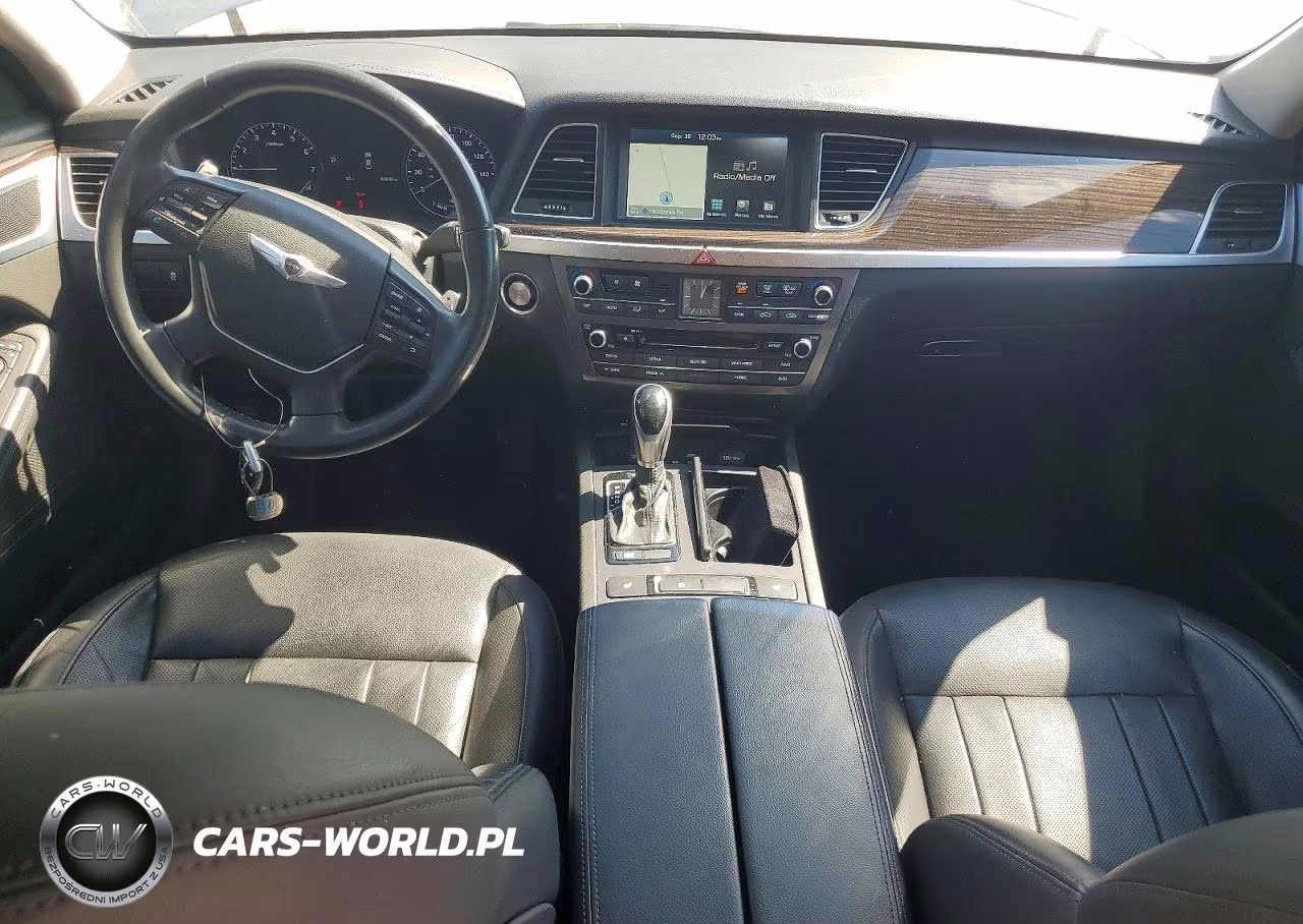 2016 Hyundai Genesis 3.8L VIN:KMHGN4JE9GU107662 - 8