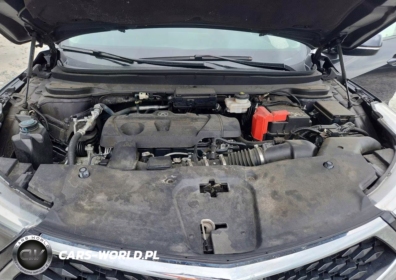 2019 Acura Rdx Technology VIN:5J8TC1H51KL000666 - 12