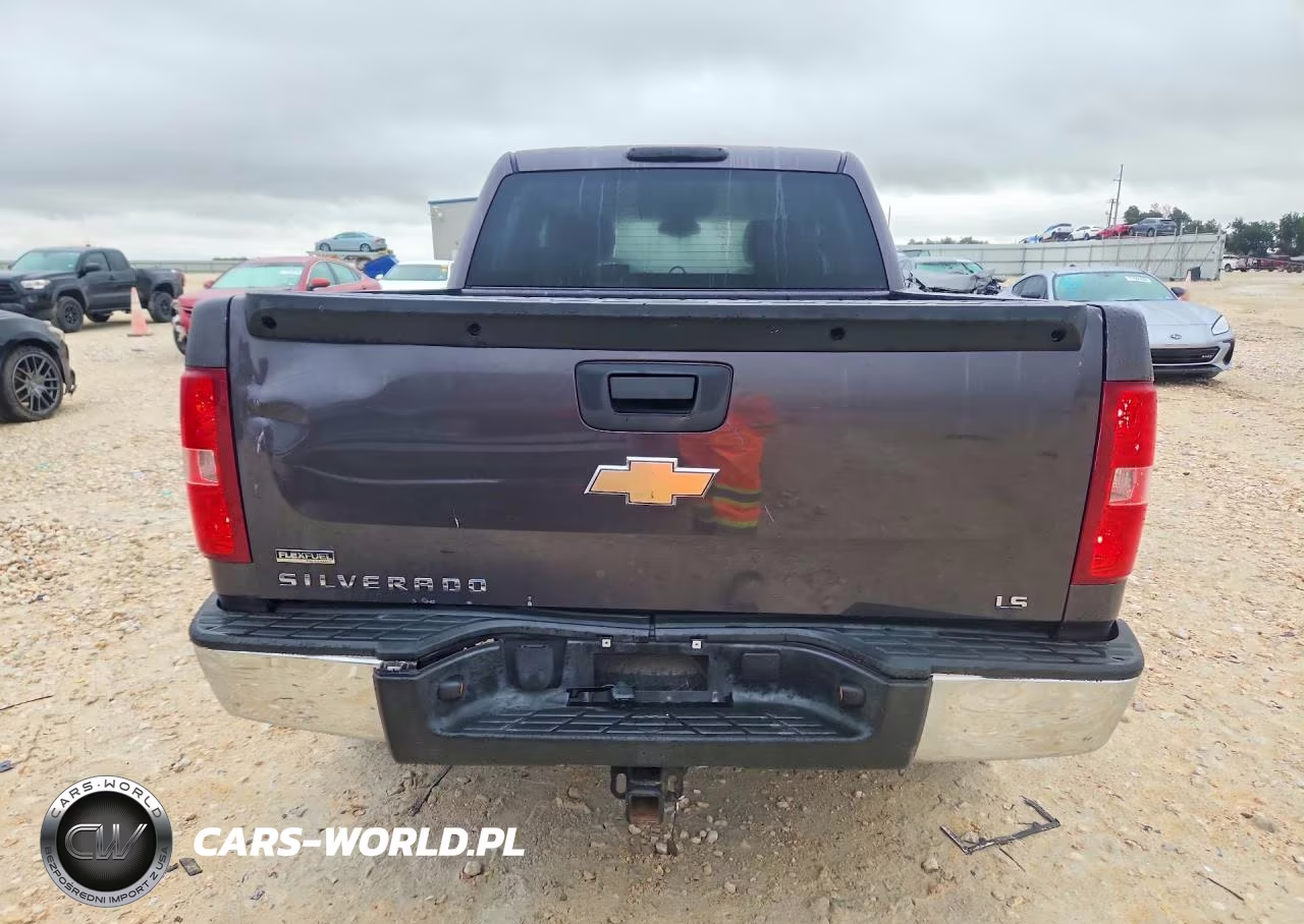 2010 Chevrolet Silverado K1500 Ls VIN:3GCRKREA4AG107637 - 6