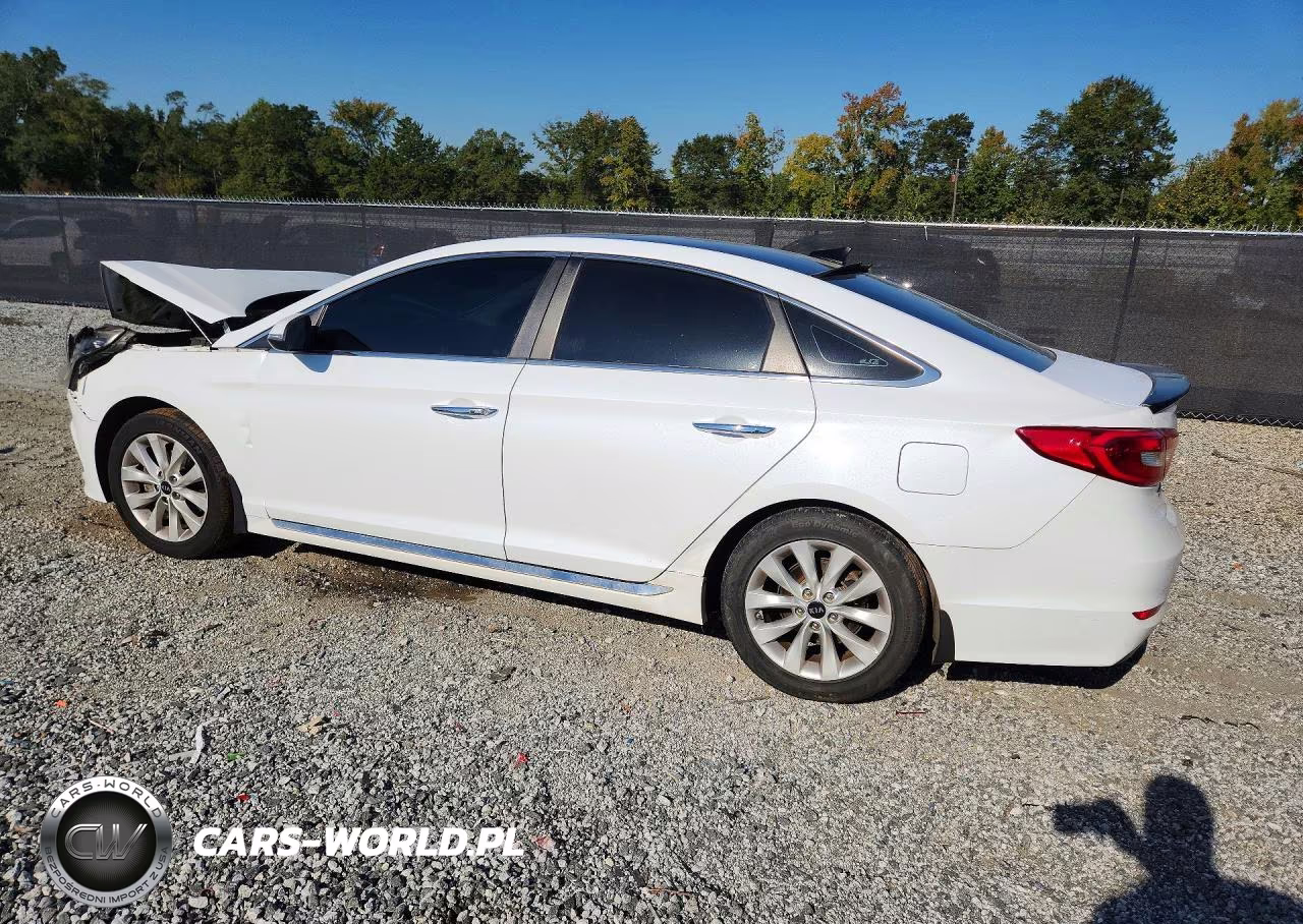 2015 Hyundai Sonata Sport VIN:5NPE34AF6FH097756 - 2