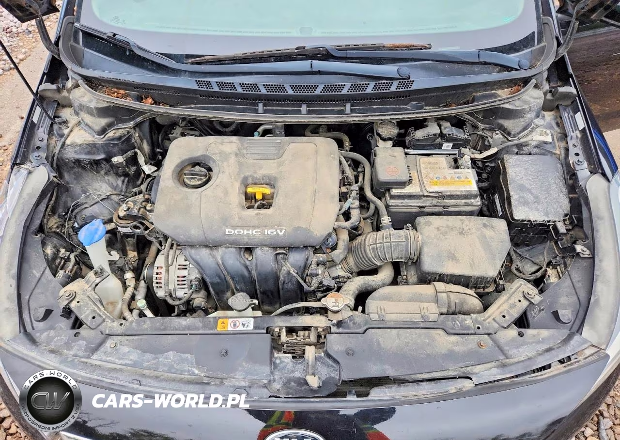 2017 Kia Forte Lx VIN:3KPFK4A71HE159930 - 11