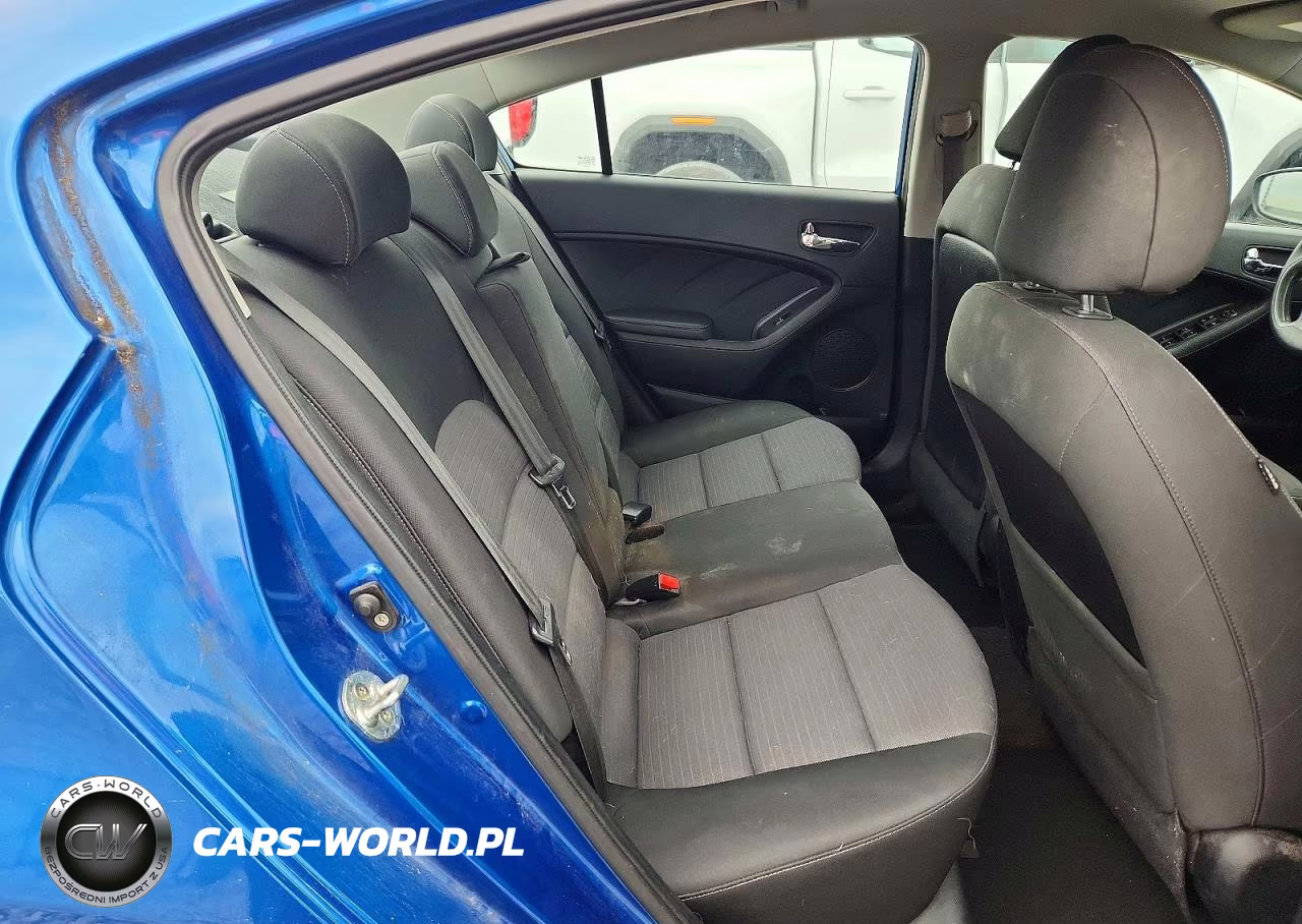 2014 Kia Forte Lx VIN:KNAFX4A64E5205411 - 10