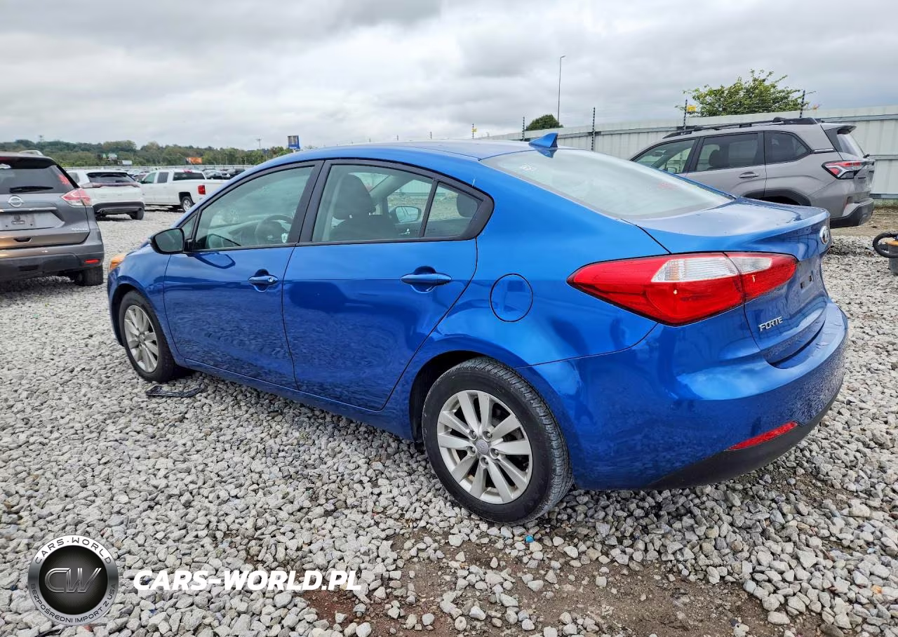 2014 Kia Forte Lx VIN:KNAFX4A64E5205411 - 2
