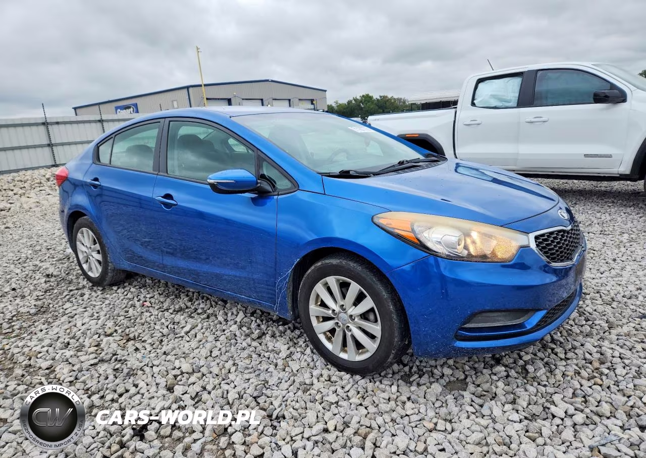 2014 Kia Forte Lx VIN:KNAFX4A64E5205411 - 4