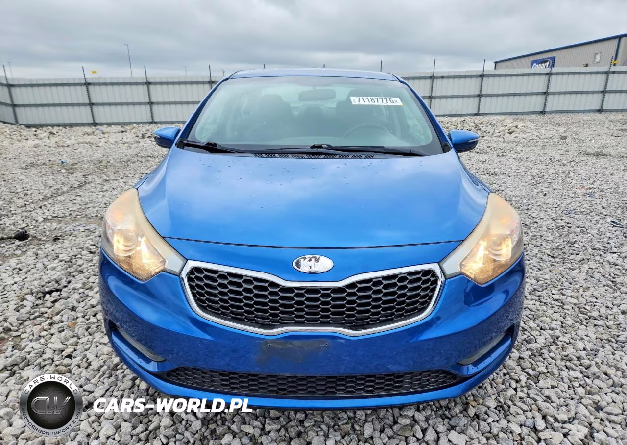 2014 Kia Forte Lx VIN:KNAFX4A64E5205411 - 5
