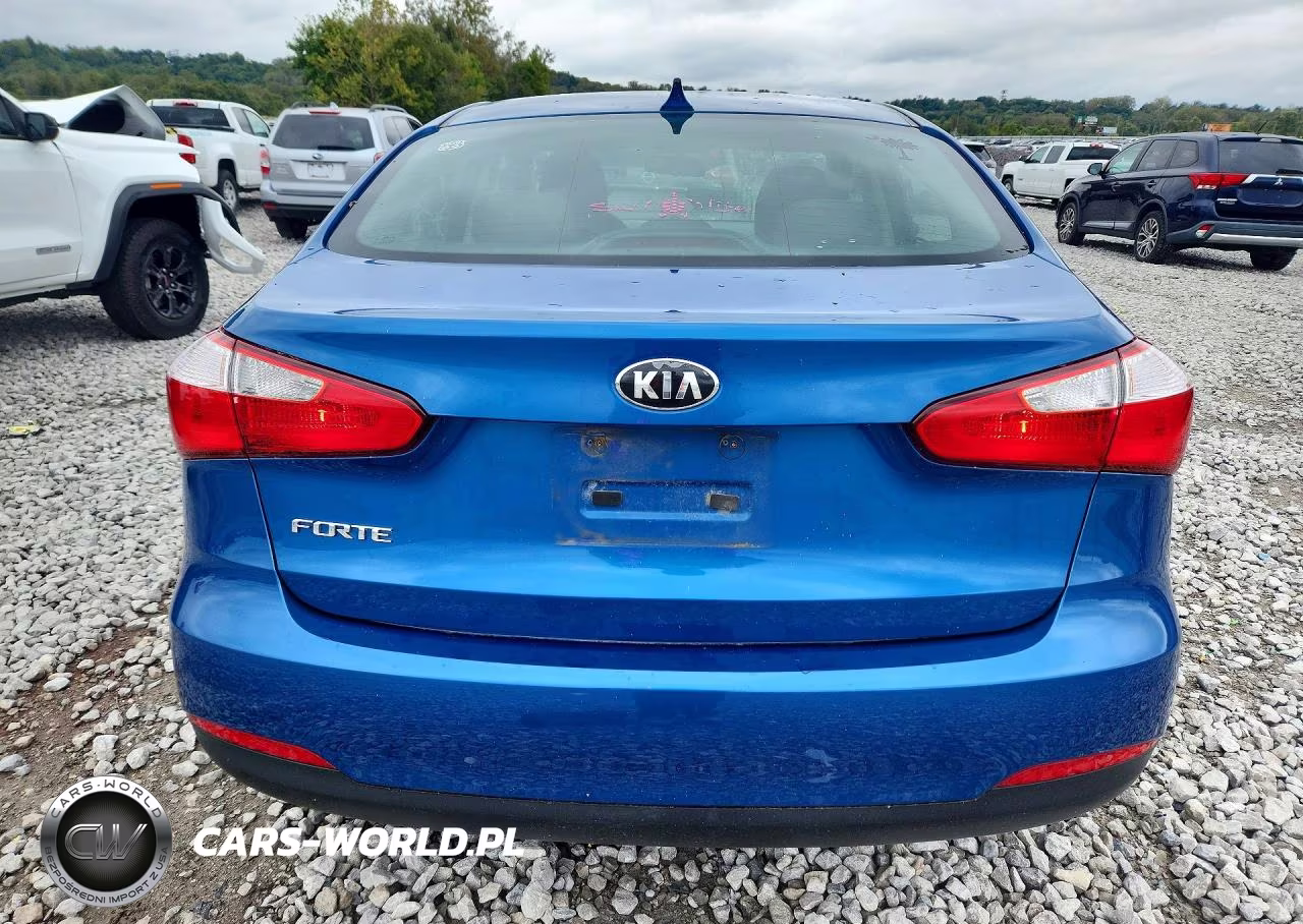 2014 Kia Forte Lx VIN:KNAFX4A64E5205411 - 6