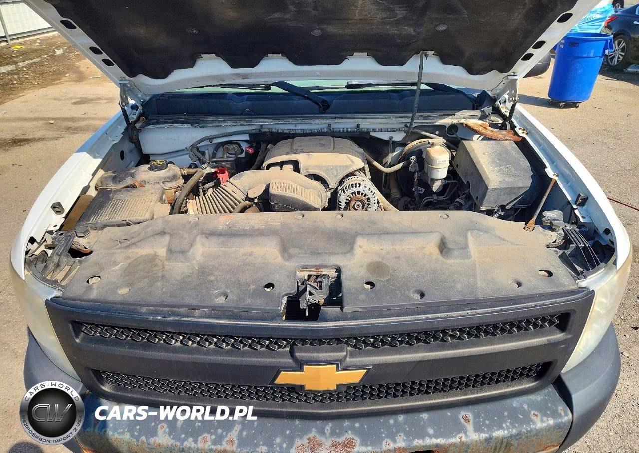 2013 Chevrolet Silverado C1500 VIN:1GCRCPEA9DZ242067 - 11