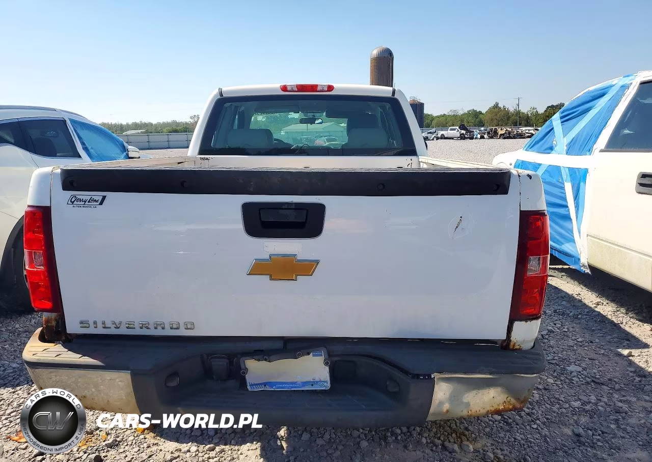 2013 Chevrolet Silverado C1500 VIN:1GCRCPEA9DZ242067 - 6