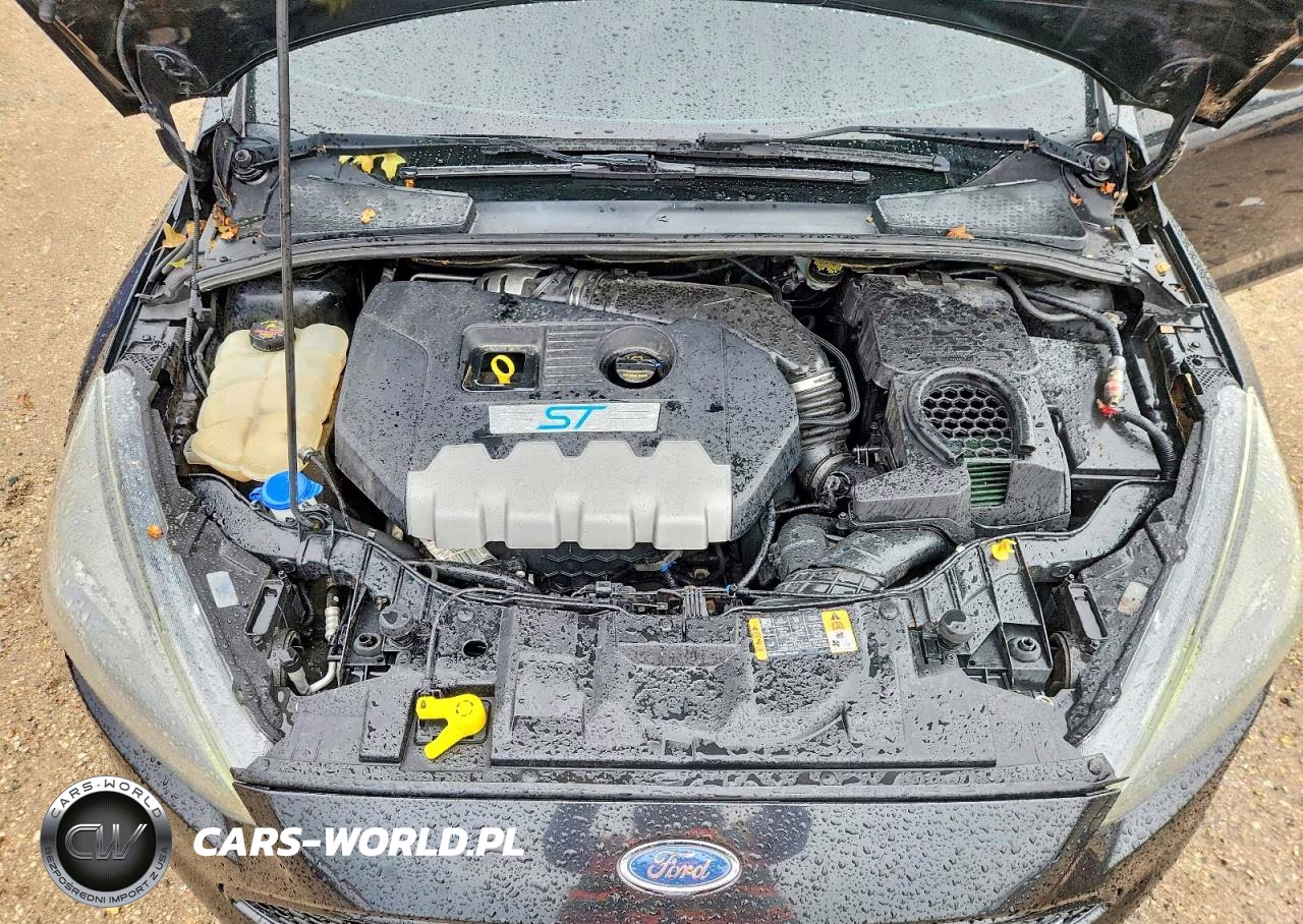 2015 Ford Focus St VIN:1FADP3L98FL374166 - 11