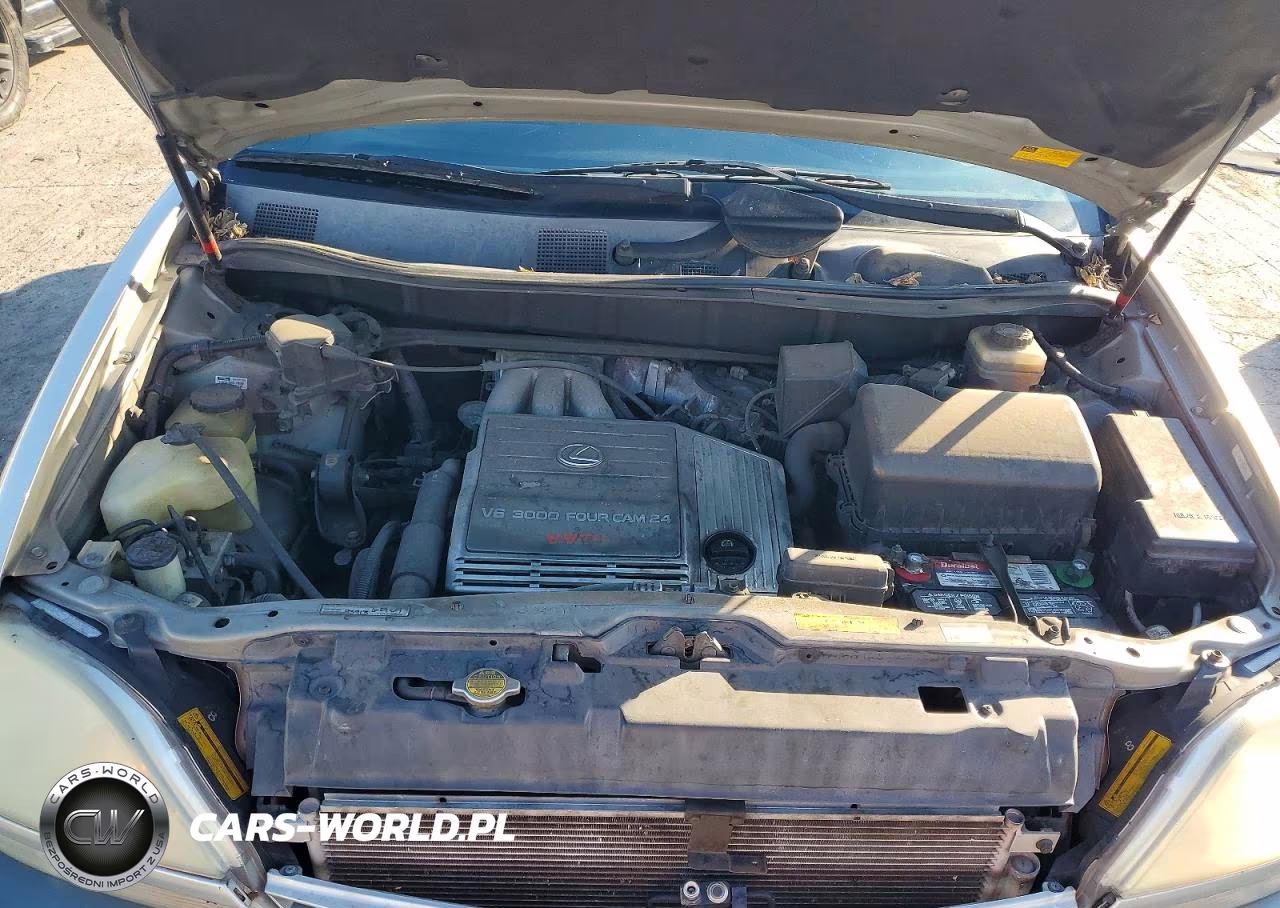 2001 Lexus Rx 300 VIN:JTJGF10U510097328 - 12
