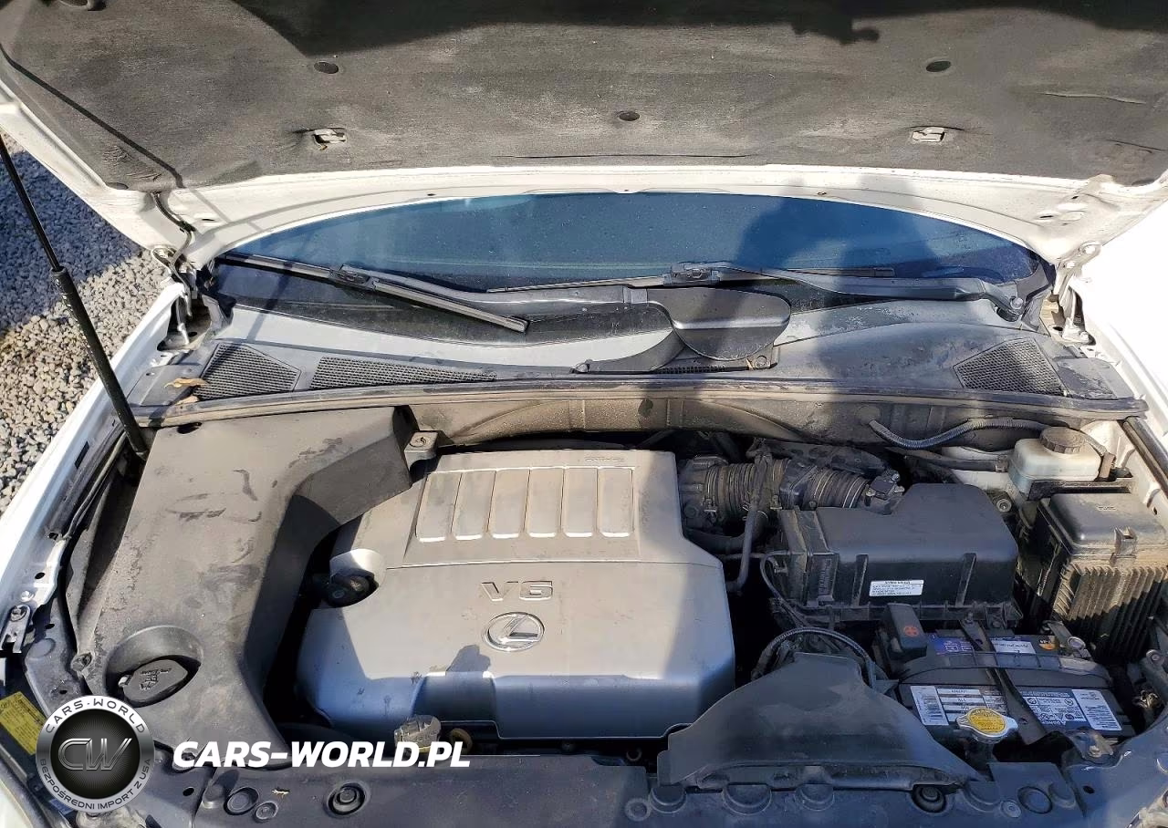 2007 Lexus Rx 350 VIN:2T2GK31U87C022934 - 12