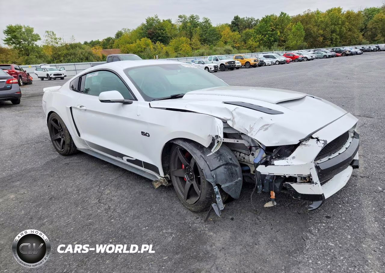 2015 Ford Mustang Gt VIN:1FA6P8CF9F5366657 - 4