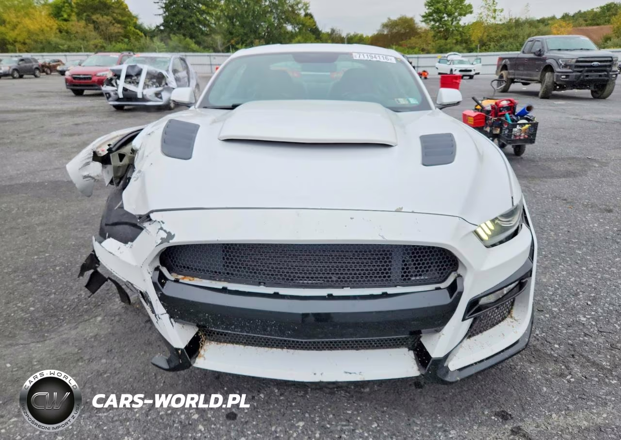 2015 Ford Mustang Gt VIN:1FA6P8CF9F5366657 - 5