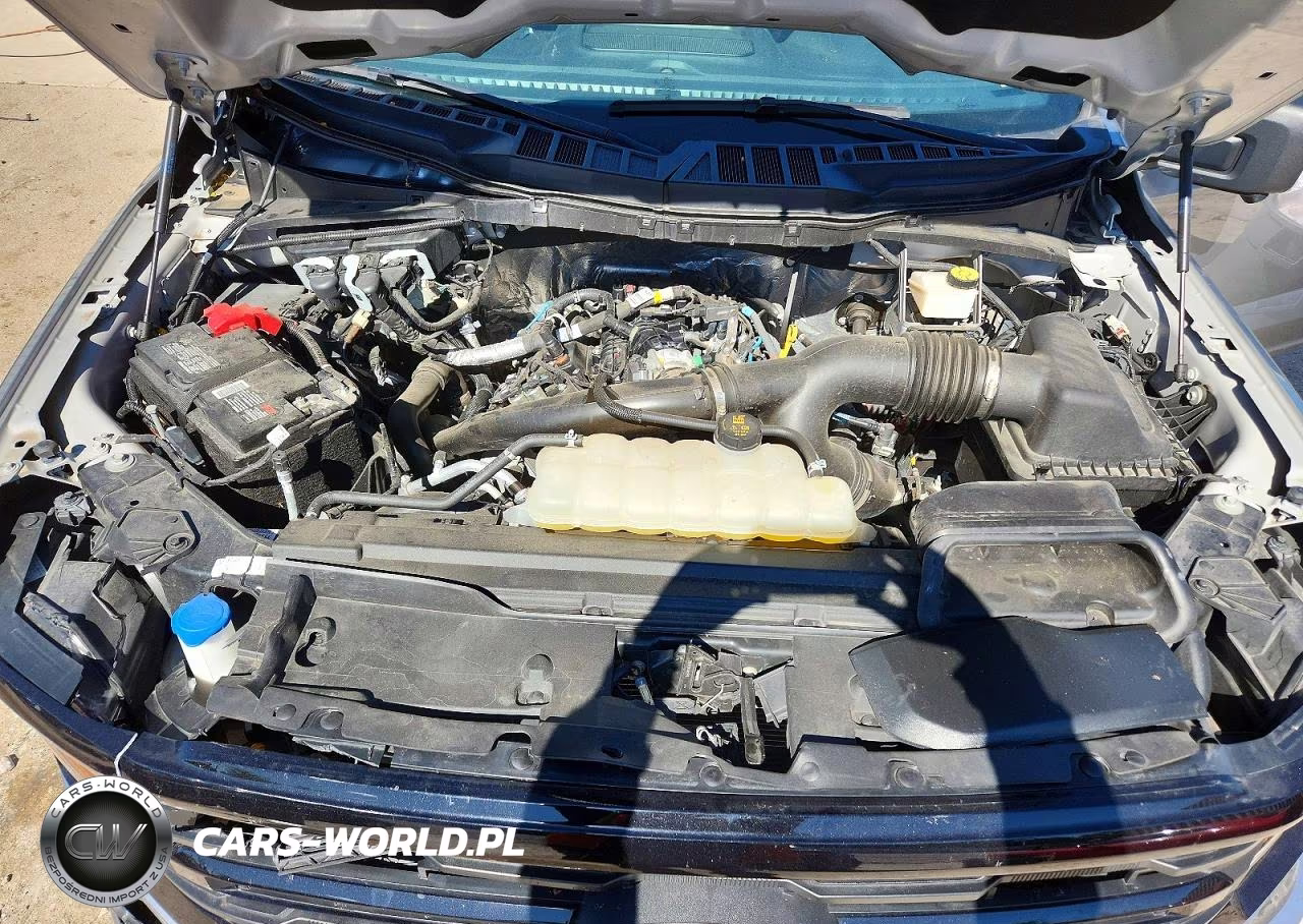 2024 Ford F150 Xlt VIN:1FTEW3KP0RKF79511 - 11