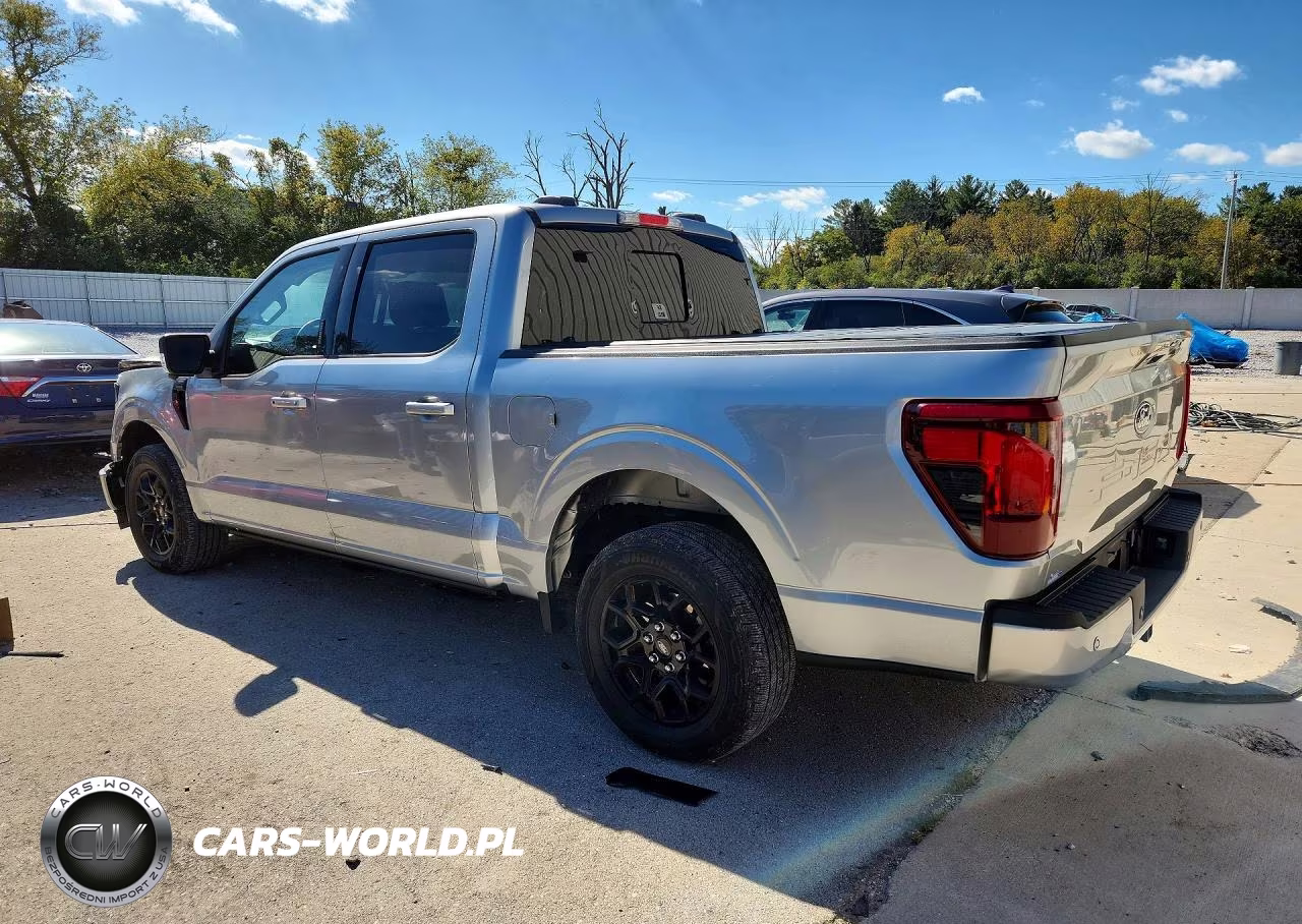 2024 Ford F150 Xlt VIN:1FTEW3KP0RKF79511 - 2