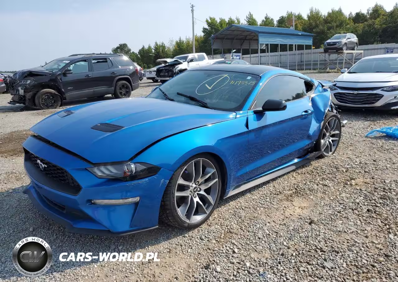 2019 Ford Mustang