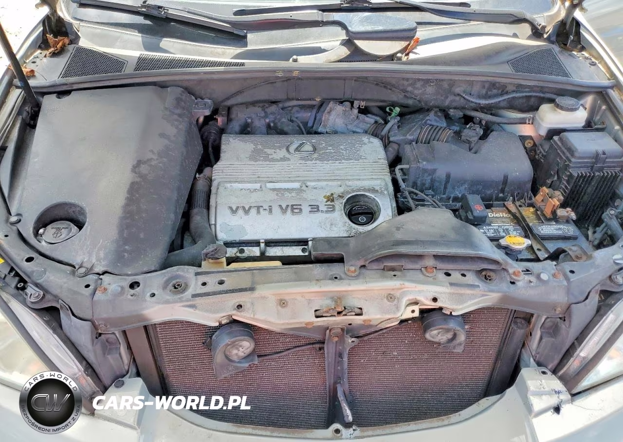 2004 Lexus Rx 330 VIN:2T2HA31UX4C012800 - 12
