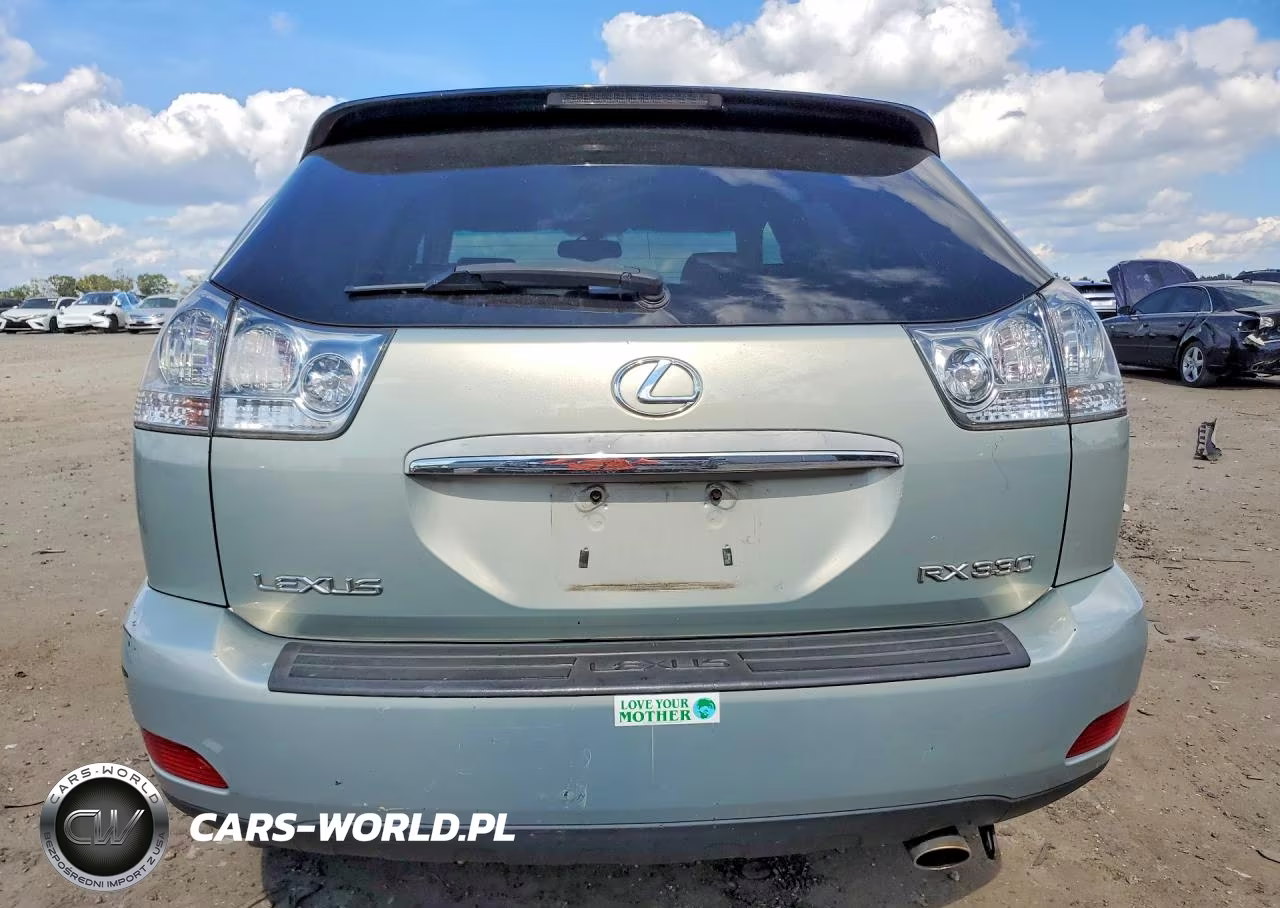 2004 Lexus Rx 330 VIN:2T2HA31UX4C012800 - 6