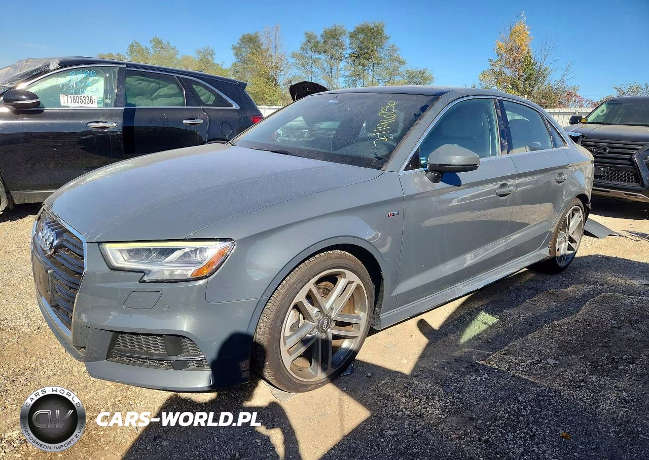 2019 Audi A3 Premium Plus VIN:WAUJEGFF4KA078981 - 1