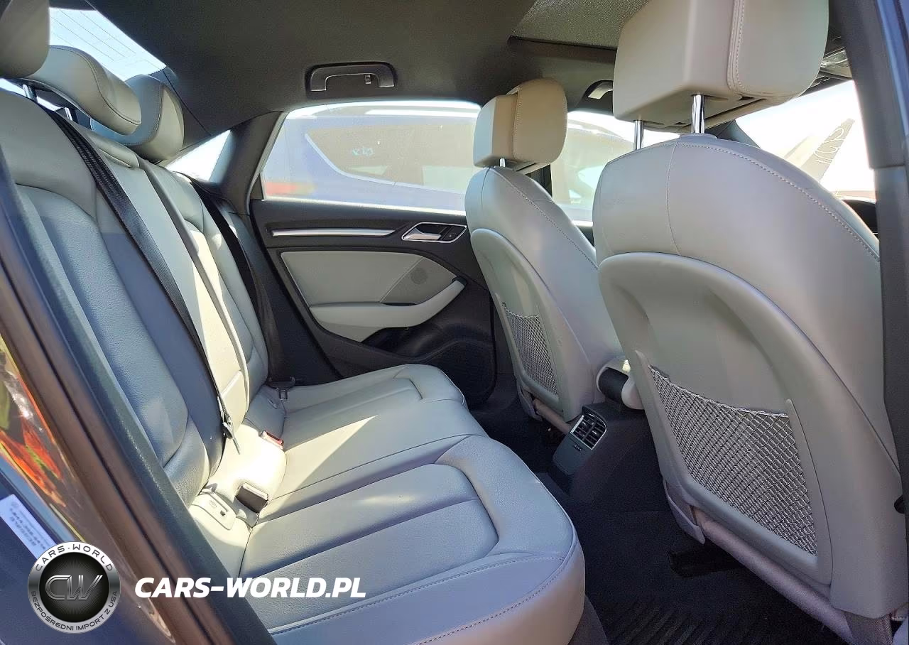 2019 Audi A3 Premium Plus VIN:WAUJEGFF4KA078981 - 10