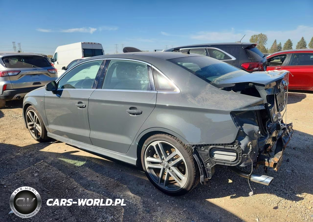 2019 Audi A3 Premium Plus VIN:WAUJEGFF4KA078981 - 2