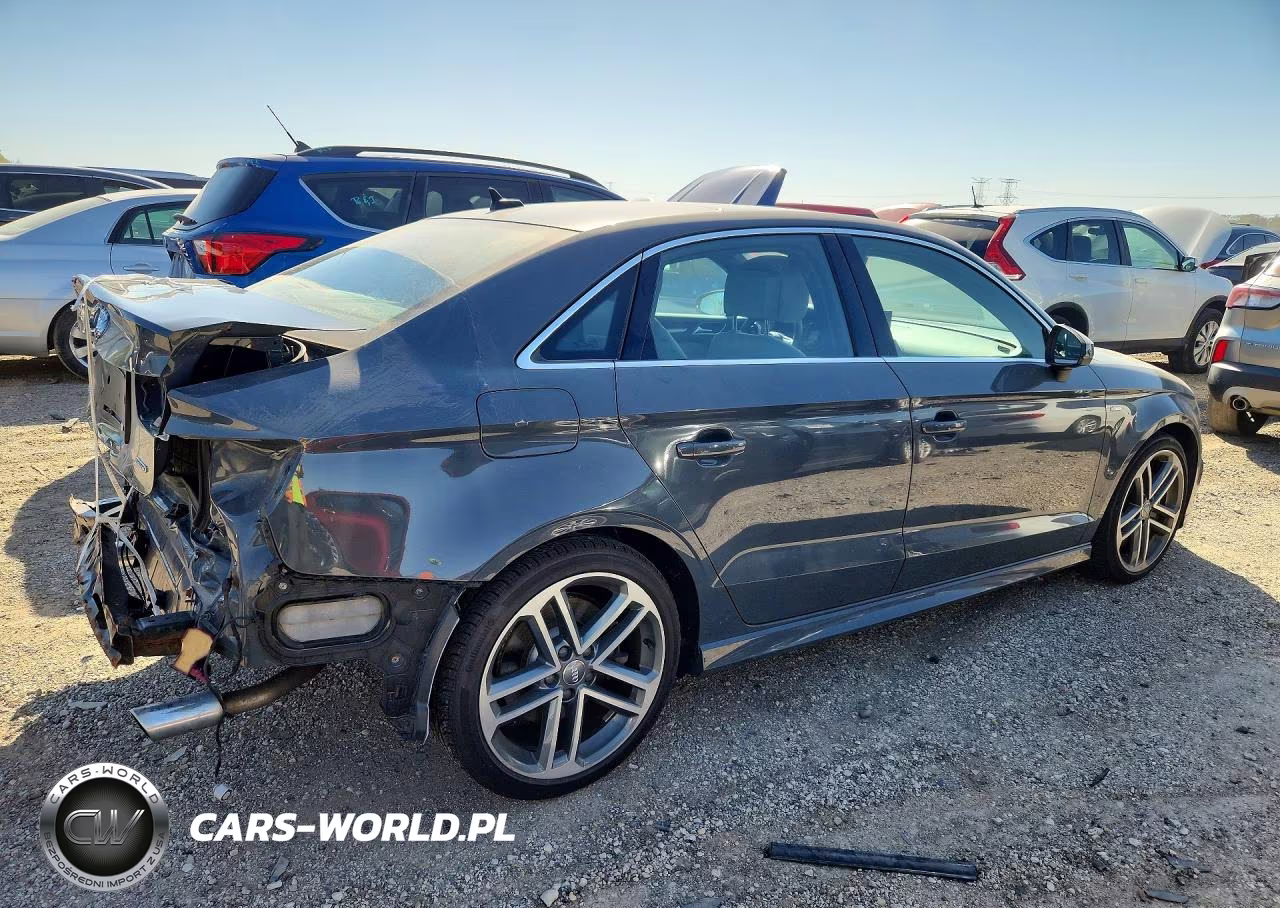 2019 Audi A3 Premium Plus VIN:WAUJEGFF4KA078981 - 3