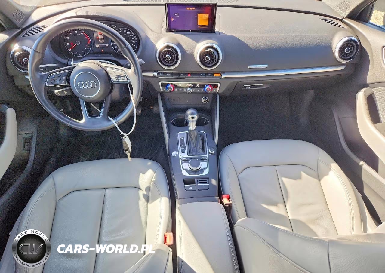 2019 Audi A3 Premium Plus VIN:WAUJEGFF4KA078981 - 8