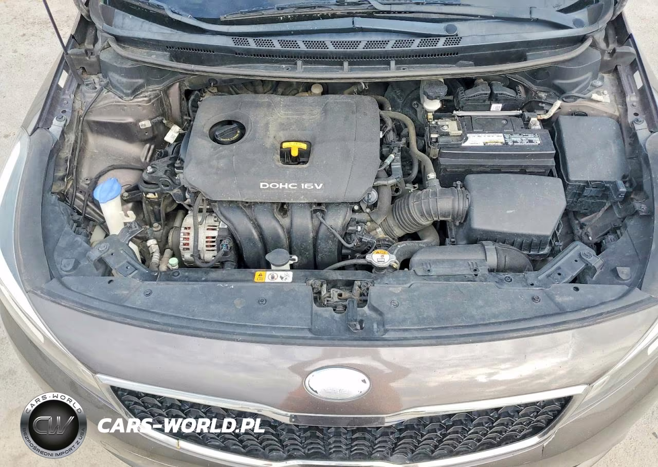 2017 Kia Forte Lx VIN:3KPFL4A74HE140852 - 11