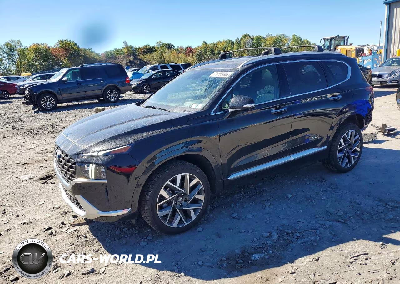 2023 Hyundai Santa Fe Calligraphy VIN:5NMS5DAL4PH521615 - 1