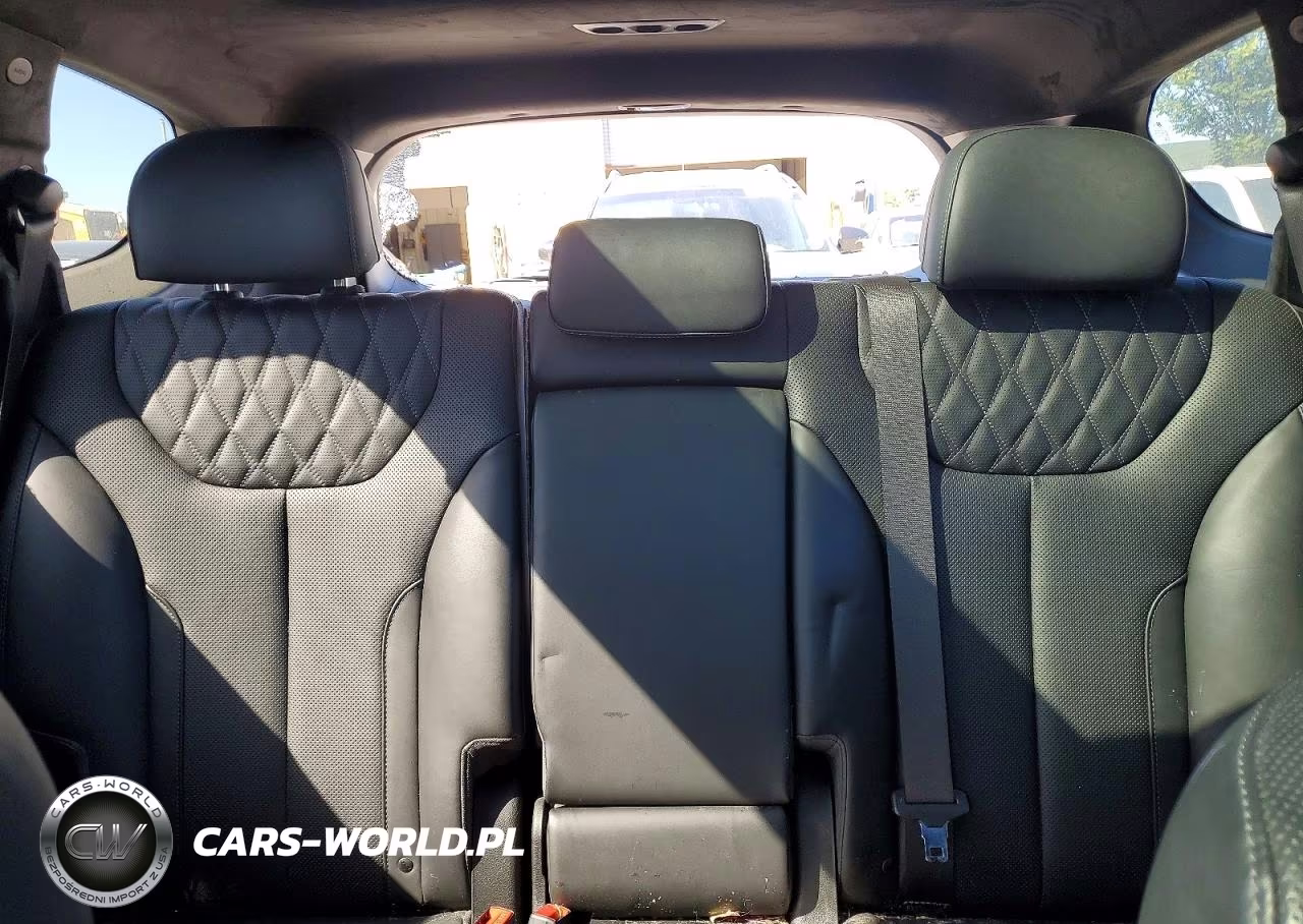 2023 Hyundai Santa Fe Calligraphy VIN:5NMS5DAL4PH521615 - 10