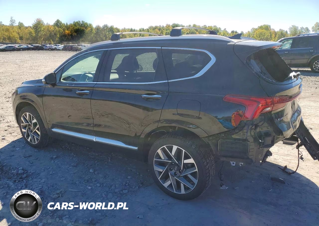 2023 Hyundai Santa Fe Calligraphy VIN:5NMS5DAL4PH521615 - 2