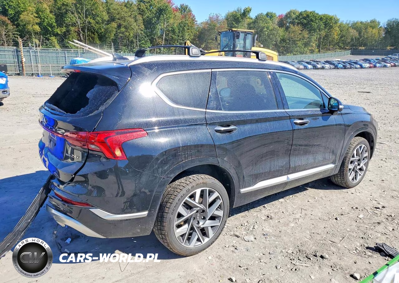 2023 Hyundai Santa Fe Calligraphy VIN:5NMS5DAL4PH521615 - 3