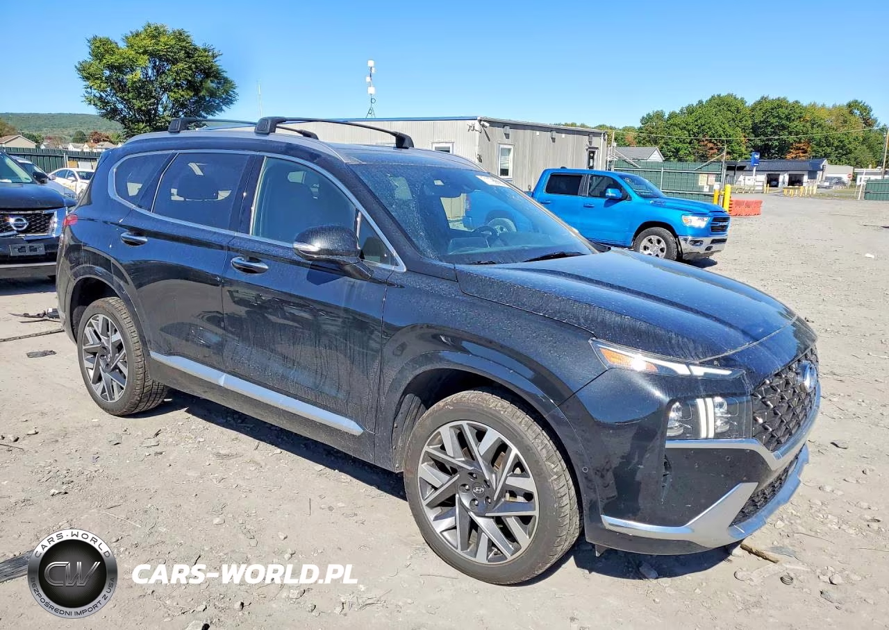 2023 Hyundai Santa Fe Calligraphy VIN:5NMS5DAL4PH521615 - 4