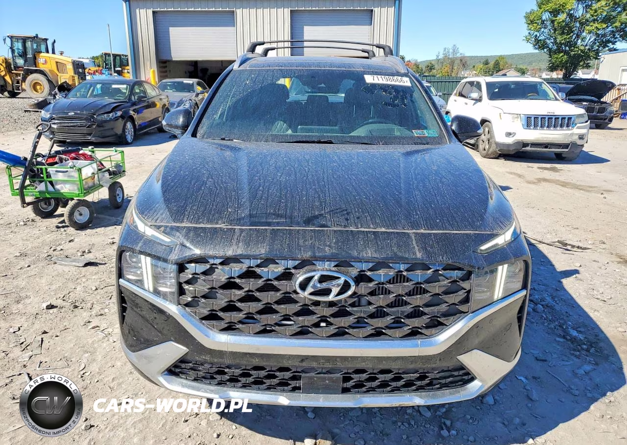 2023 Hyundai Santa Fe Calligraphy VIN:5NMS5DAL4PH521615 - 5