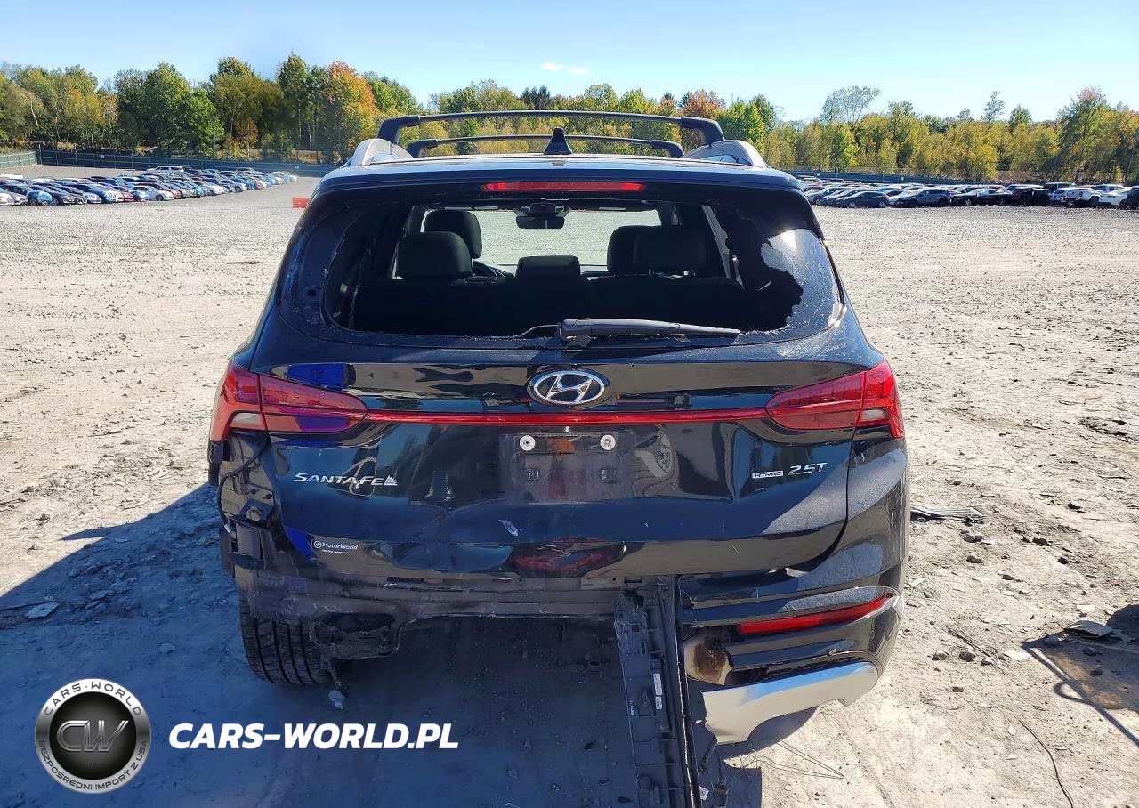 2023 Hyundai Santa Fe Calligraphy VIN:5NMS5DAL4PH521615 - 6